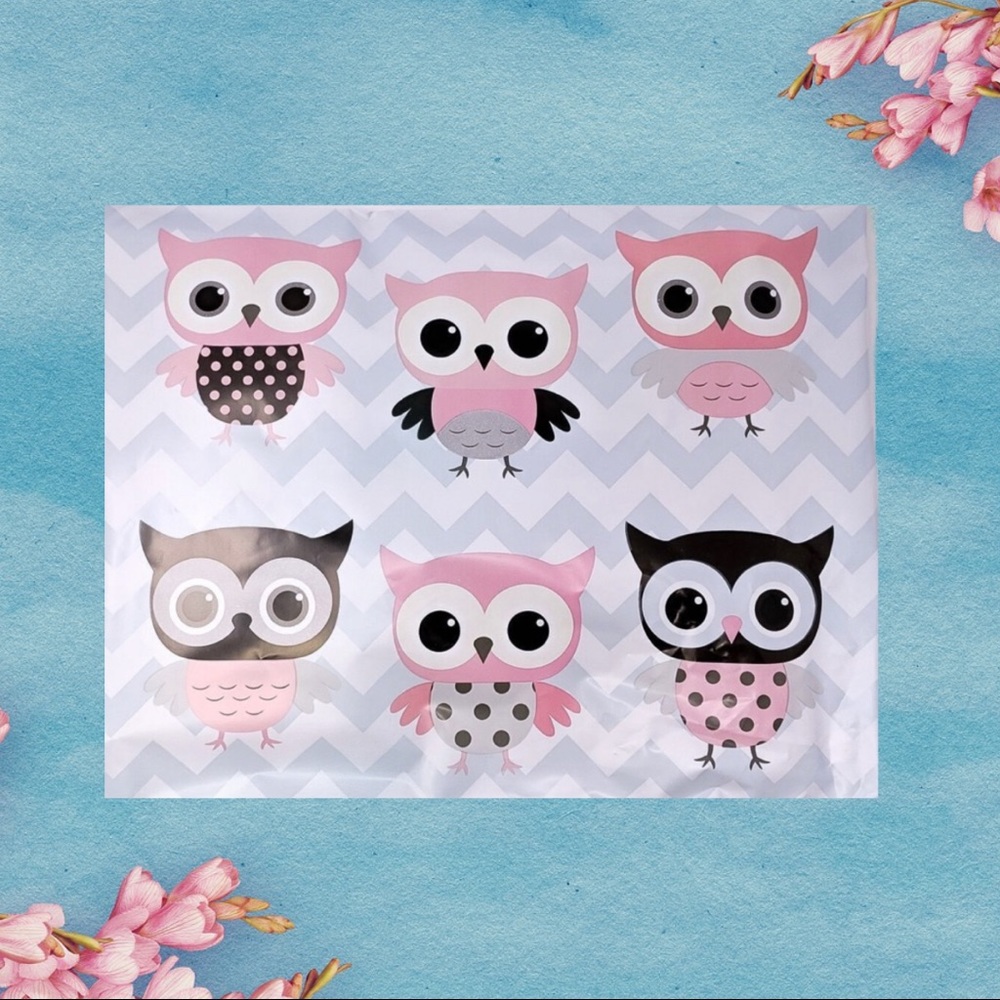 50 10X13 Owl Chevron Poly Mailers PRICE IS FIRM - Picture 2 of 7